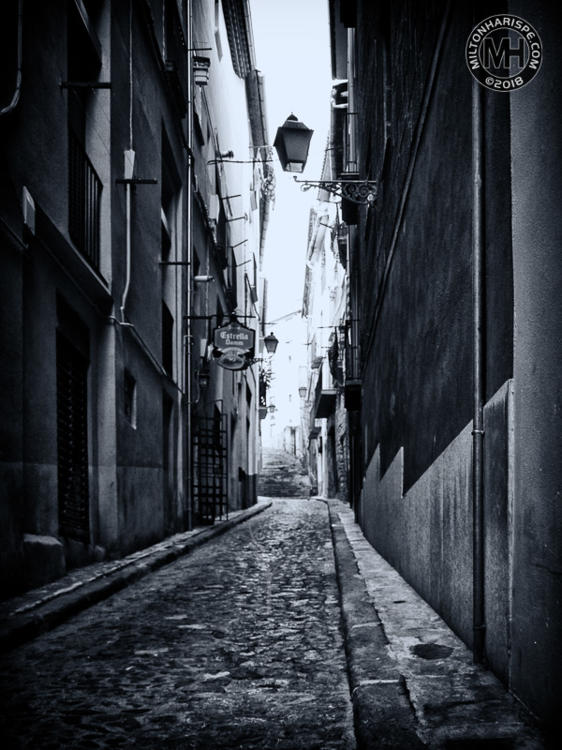 P1224075_ORF-Exp-Edit SEP2.jpg